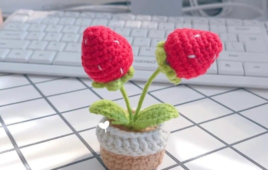 table strawberry pot crochet pattern