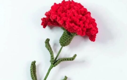 crested flower crochet pattern