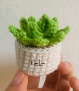Instructions for crocheting small plant pots