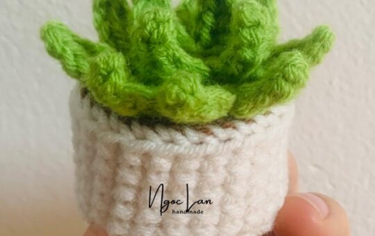 Instructions for crocheting small plant pots