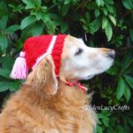 Crochet pattern hat for Dog