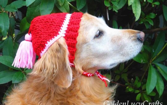 crochet pattern hat for dog