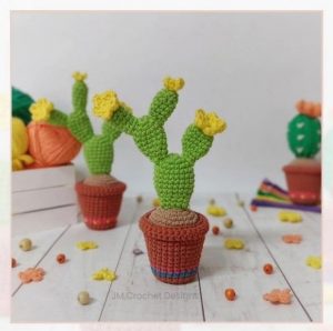 Hairy Cactus Crochet Pattern