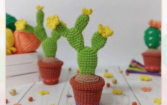 Hairy Cactus Crochet Pattern