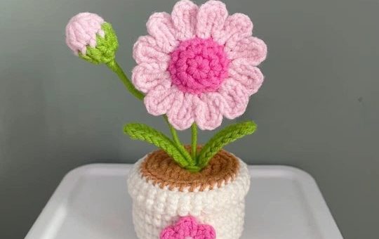 Chrysanthemum flower pot crochet pattern