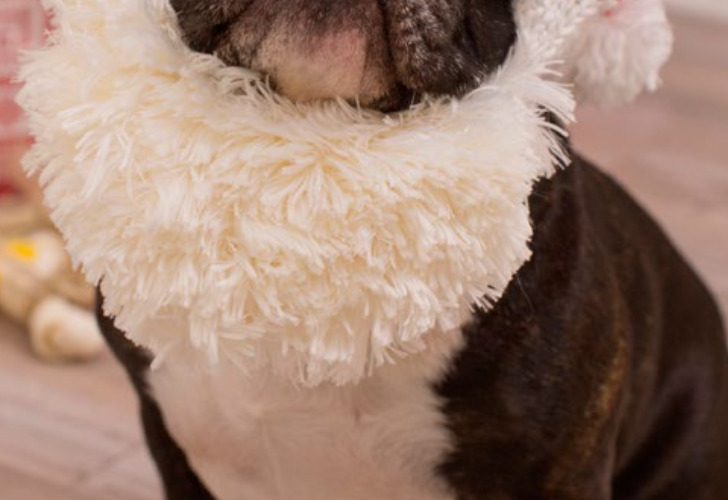 Christmas Santa Dog hat