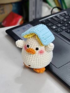 Duck carrying books on its head pattern