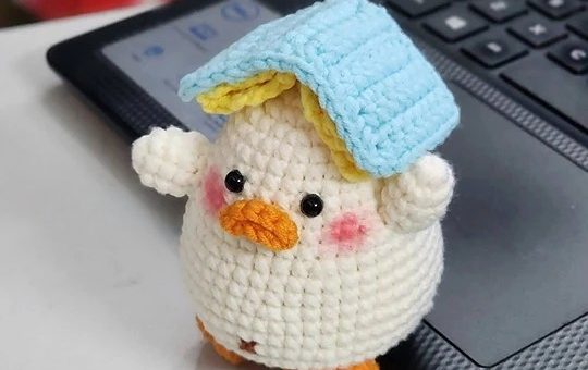 Duck carrying books on its head pattern